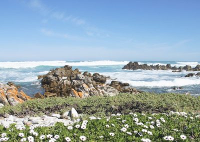 Pobrežie Cape Agulhas